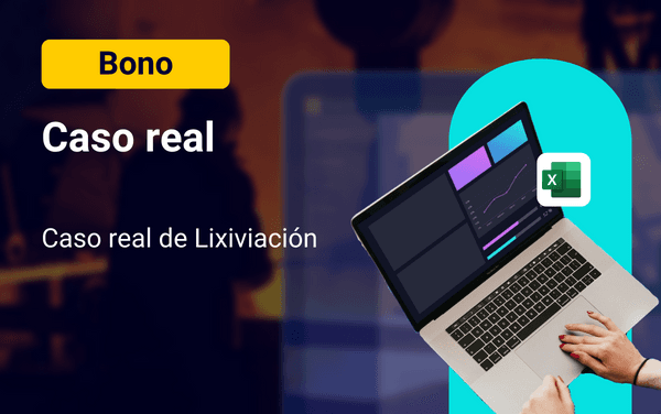 Bono - Caso Real Lixiviacion