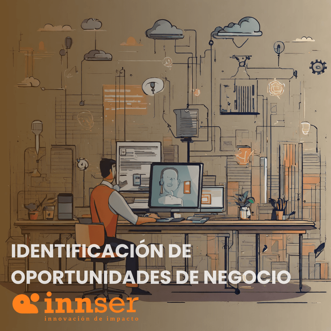 Identificación de Oportunidades de Negocio