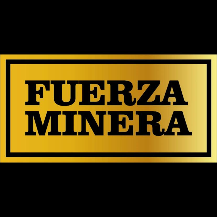 Fuerza Minera